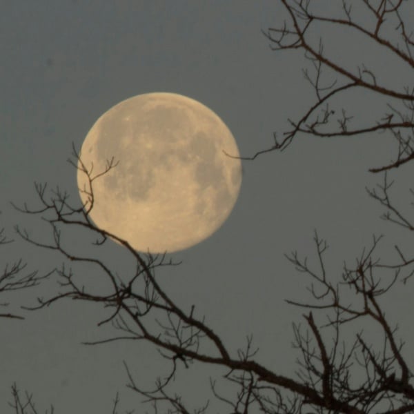 Fuldmåne spa - Rævsholm NatuSpa Fuldmåne spa - Rævsholm NatuSpa